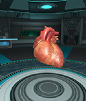 the-human-heart